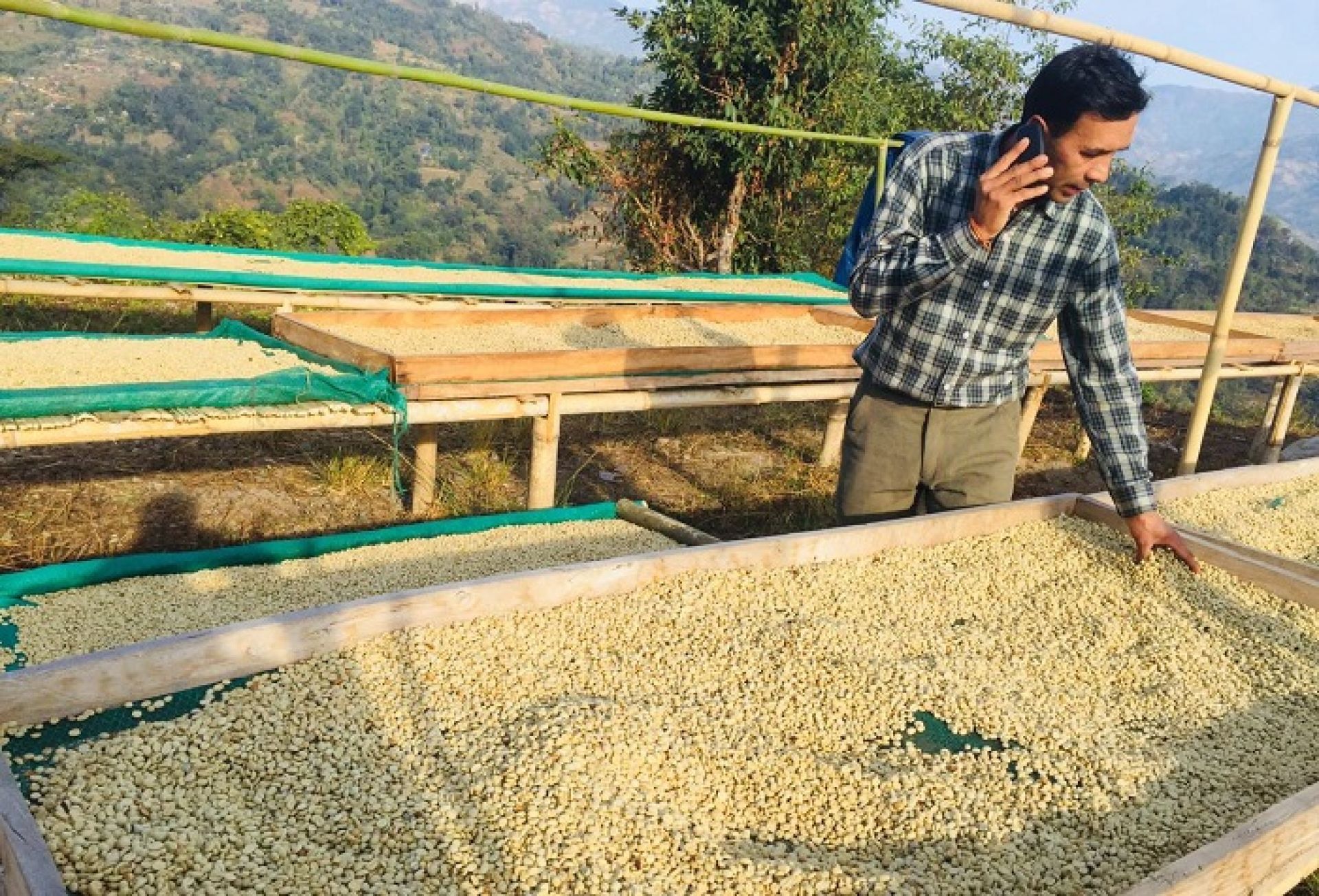 कफीखेतीबाट वार्षिक १३ लाख आम्दानीः ‘कृषि कर्म गरेर पनि मनग्य कमाउन सकिन्छ’